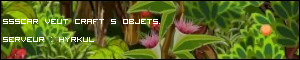 http://www.dofux.org/panier-image-Ssscar.jpg